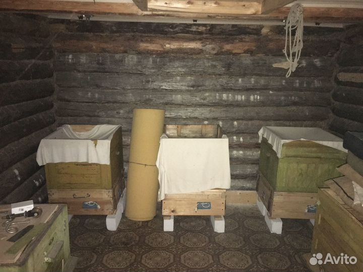 Продам ульи для пчел