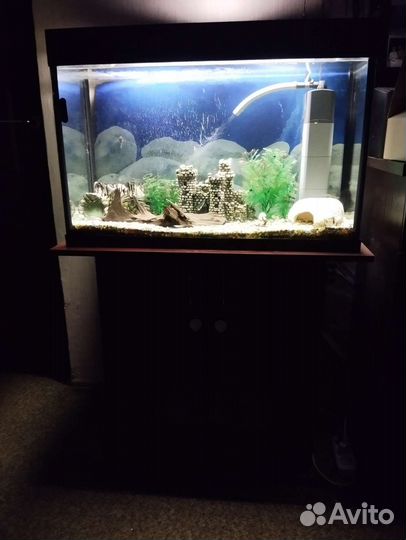 Аквариум