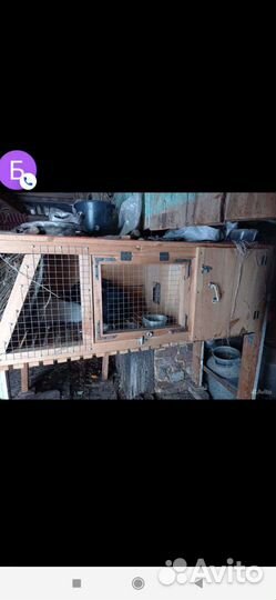 Клетки для кроликов