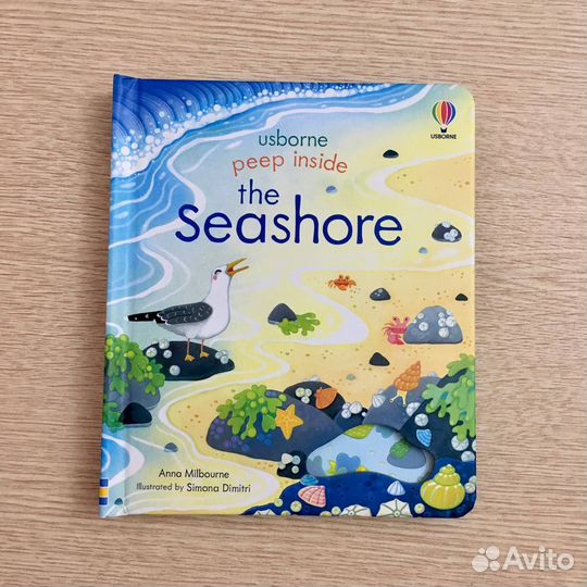 Морской берег Коралловые рифы Море