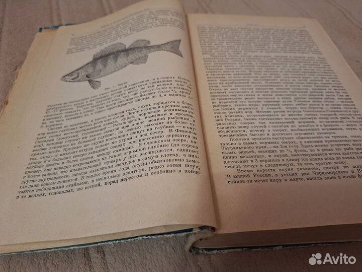 СССР Пресноводные рыбы