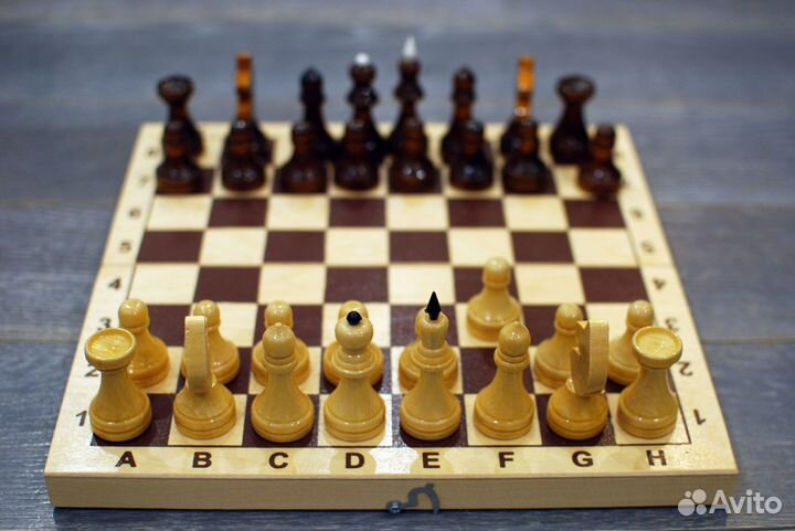 Шахматы школьные