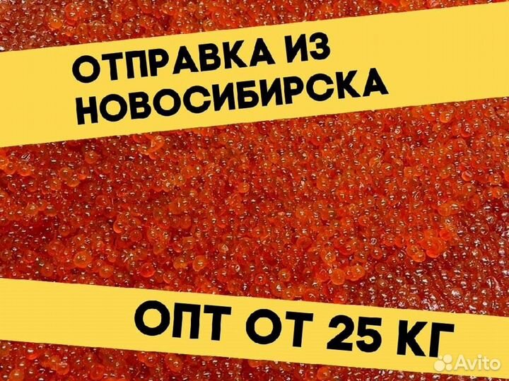 Икра нерки красная, улов 2023