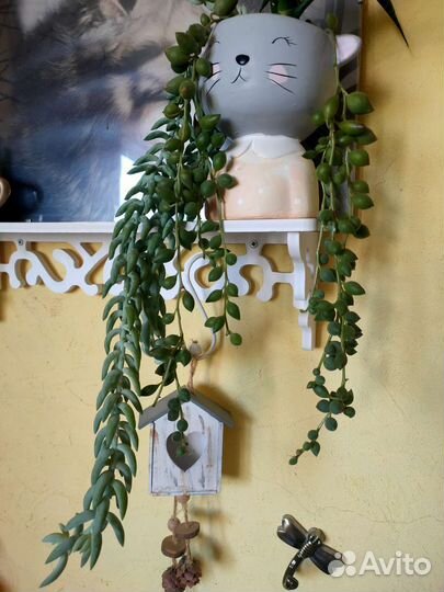 Крестовники