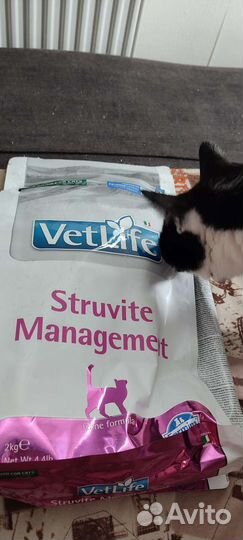 Фармина Струвит 2 кг. Ветеринарный корм