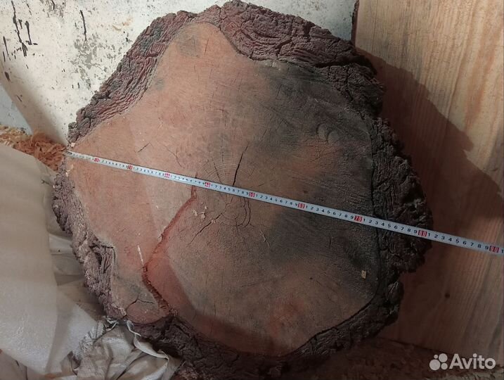 Лиственница спил