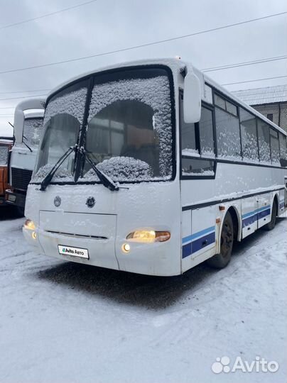 Междугородний / Пригородный автобус ПАЗ 4230-02 Аврора, 2007