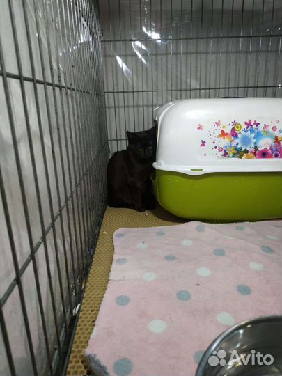 Несчастный ребёнок ждёт в уголочке семью