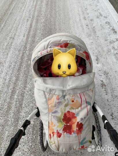 Коляска adamex katrina