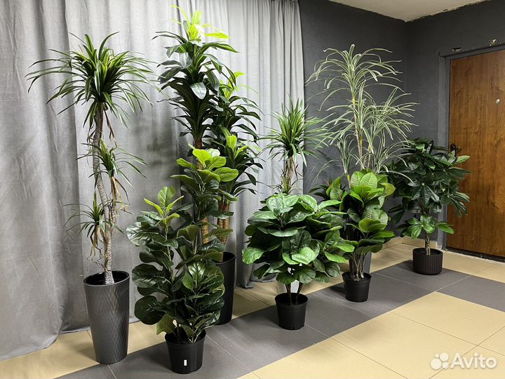 Искусственные деревья декоративные