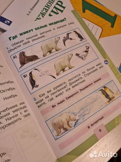 Тетради 1 класс Илюхина Плешаков Школа России