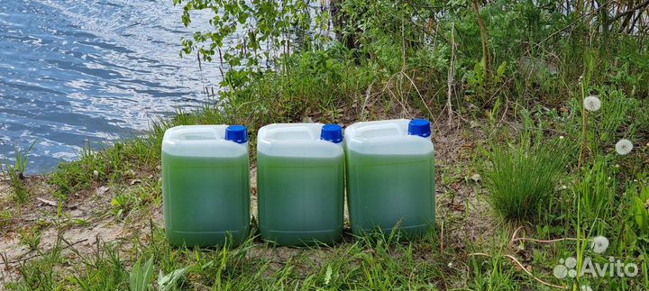 Хлорелла для очистки водоемов