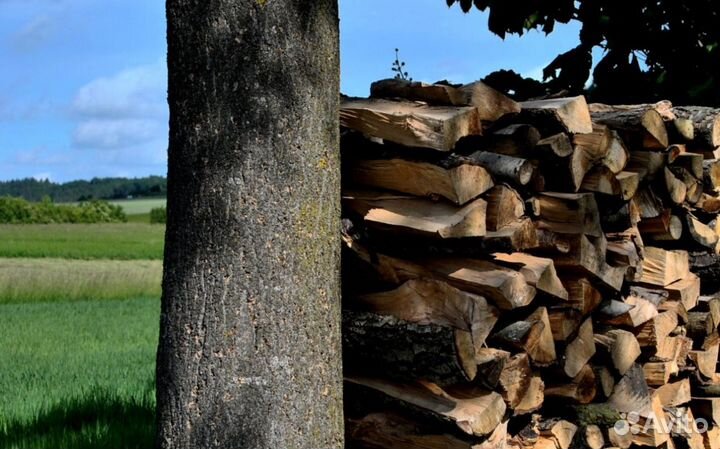 Дрова на дачу в баню