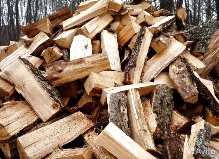 Дрова осина