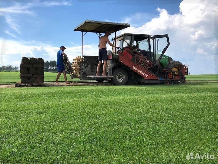 Газон от производителя