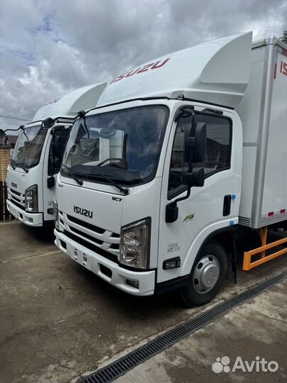 Isuzu Elf, 2024