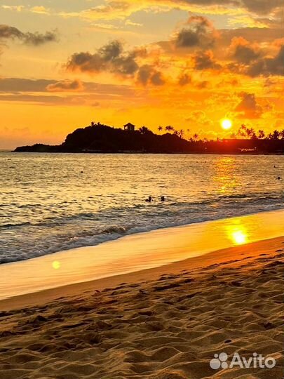 Отзыв о Шри-Ланке