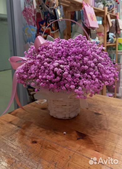 Гипсофила, Цветы, Розы, хризантемы, Доставка