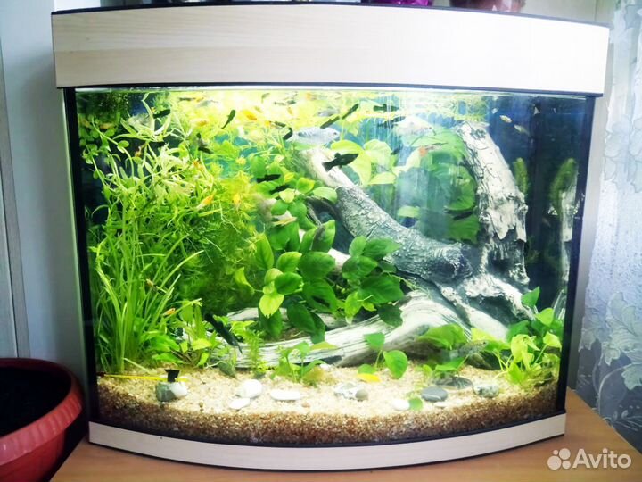 Аквариум 100 литров панорамный Новый. Гарантия 5 л