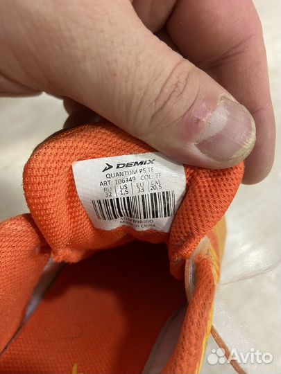 Сороконожка