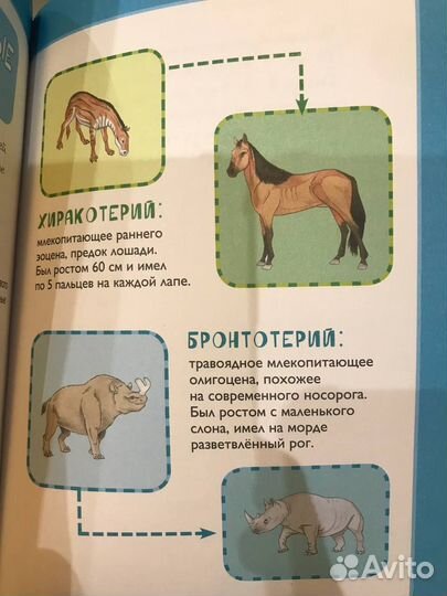 Джеронимо Стилтон Путешествие во времени