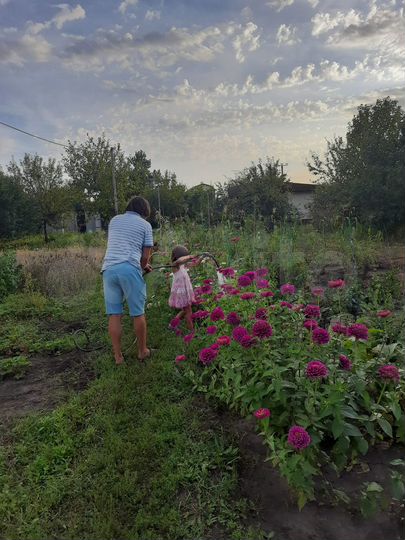 Участок 12 сот. (СНТ, ДНП)