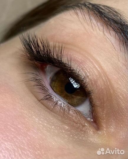 Наращивание ресниц,Брови, Процедуры для волос