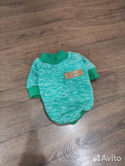 Костюм для мини чихуахуа