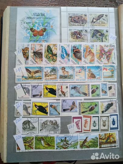 Почтовые марки.Фауна 1