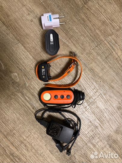 Ошейник для собак