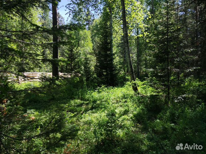 Строящийся глэмпинг