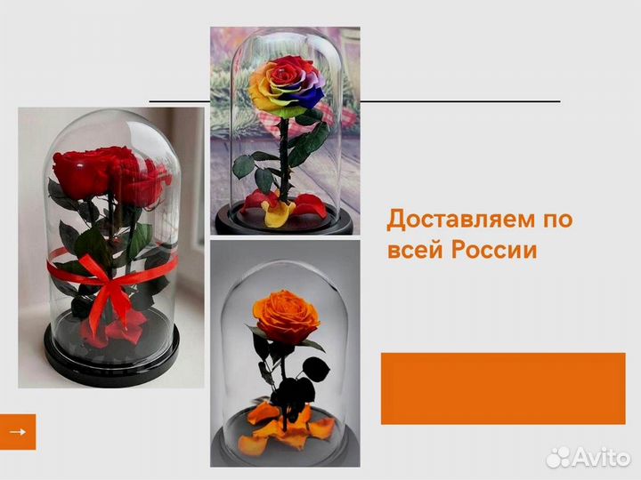 Розы в колбе любые