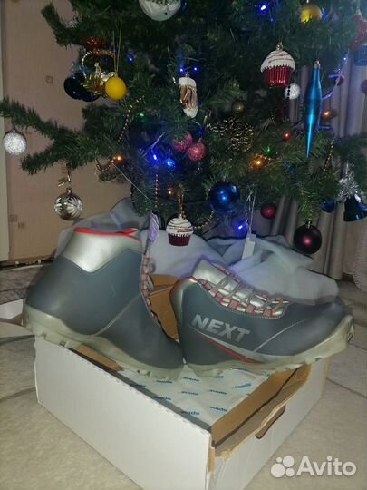 Лыжные ботинки