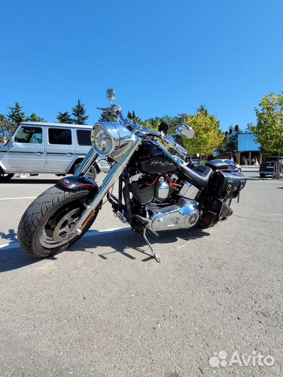 Harley-davidson fet boy