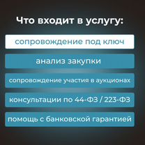 Тендерное сопровождение/44-фз/ 223-фз / Госзакупки, Петропавловск-Камчатский