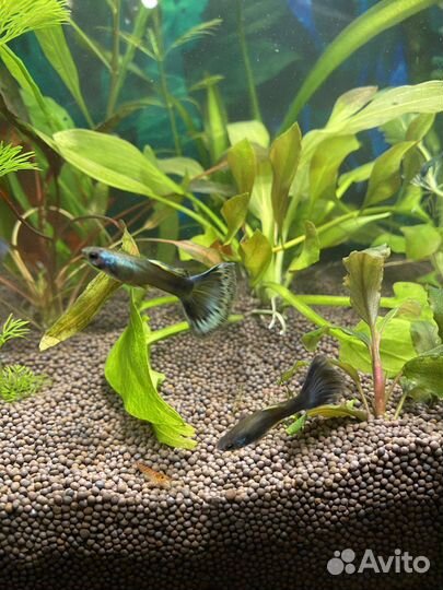 Пропант нейтральный грунт для аквариума