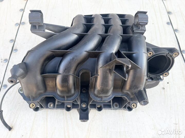 Выпуск Коллектор. Haличиe в Oпиcaнии