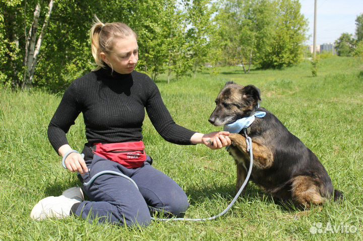 Баллин-красотка ищет дом