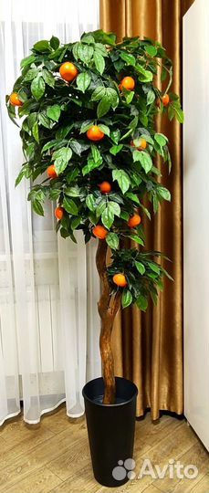 Декоративное дерево Мандарин 150-160 см