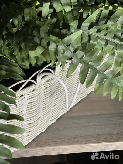 Папоротник искусственный