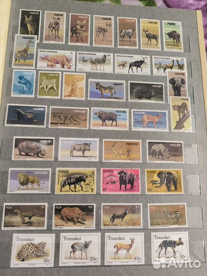 Альбом с марками (фауна) 1
