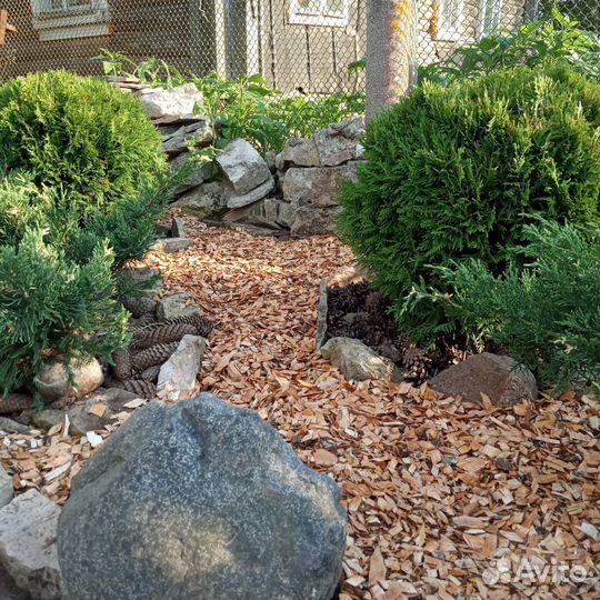 Эко-Мульча Щепа (ольха)