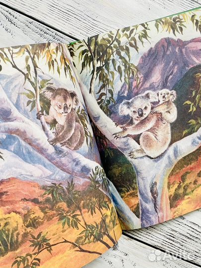 Где живет единорог