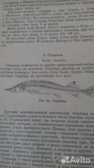 Книги о рыбалке и рыбоводстве