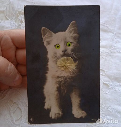 Кошка,стеклянные глазки 19 век