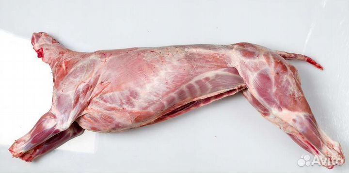 Продукты питания