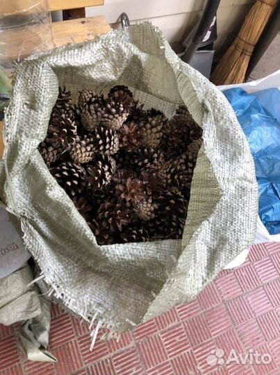 Шишки мешок