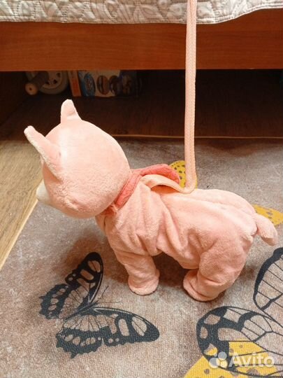 Кошечка Бонни