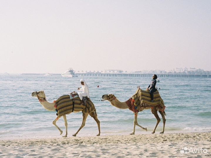 Пленочный фотоаппарат olympus mju ii