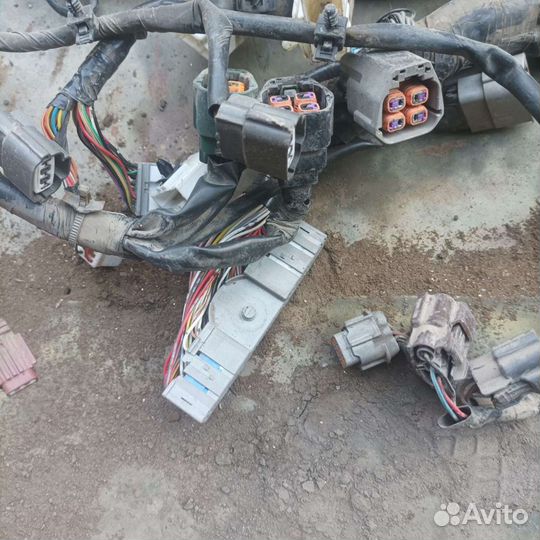 Проводка/моторная коса Nissan Maxima A33